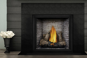 Napolean Gas Fireplaces