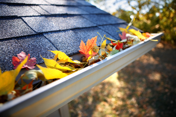 Gutter Cleaning and Repairs